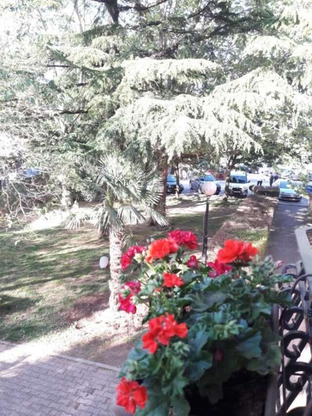 Апартаменты Apartment Vukasevic Вирпазар-29